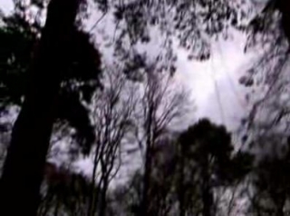  Un gran lugar para venir para grupos escolares. 